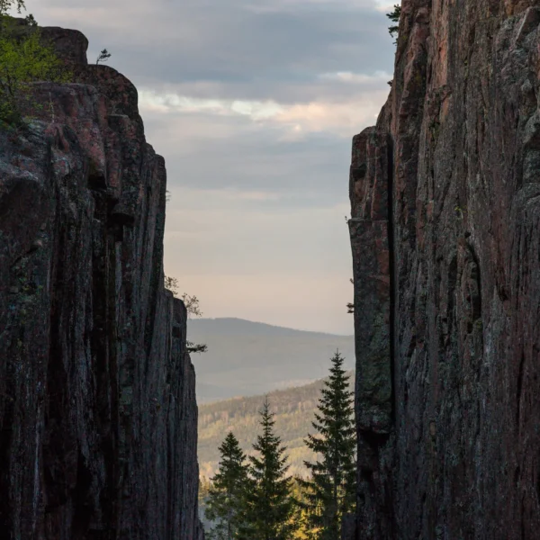 Leejiet apokalipsē (iepakošanas rafts) тур архив