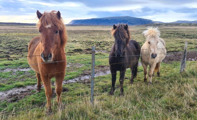 iceland-by-travellinglv-104 iceland-by-travellinglv-104
